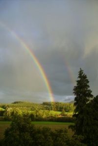 Blick vom Haus